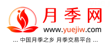 中国上海龙凤419，月季品种介绍和养护知识分享专业网站(图1)