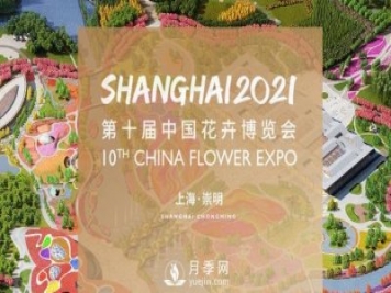 5月，第十届中国花博会将在崇明拉开帷幕