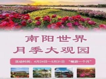 第十二届南阳月季花会4月29日开幕，活动丰富多彩