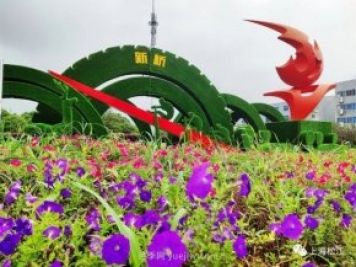 上海松江这里的花坛、花境“上新”啦!特色景观升级!