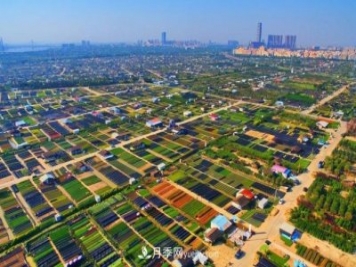 广东省中山市横栏镇，这个3万亩的花木之乡，亩均年产值竟达10万元