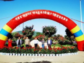 河南省四优四化项目 助推南阳月季、栀子产业发展