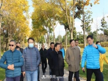 提升城市园林绿化，苏州向上海学什么？